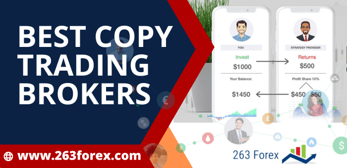 Best Copy trading Brokers