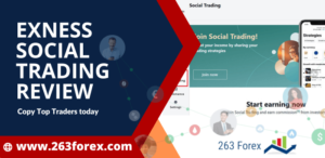 Exness Social Trading review
