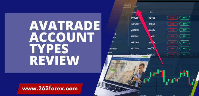 AvaTrade Account Types Review