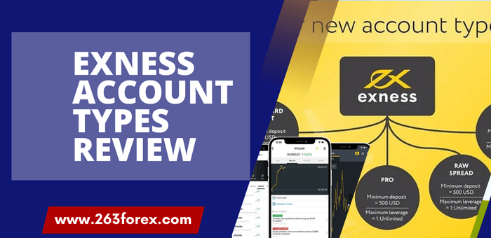 Exness Account types review