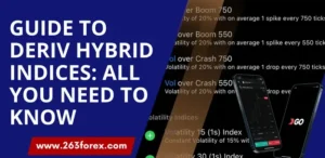 Deriv Hybrid Indices